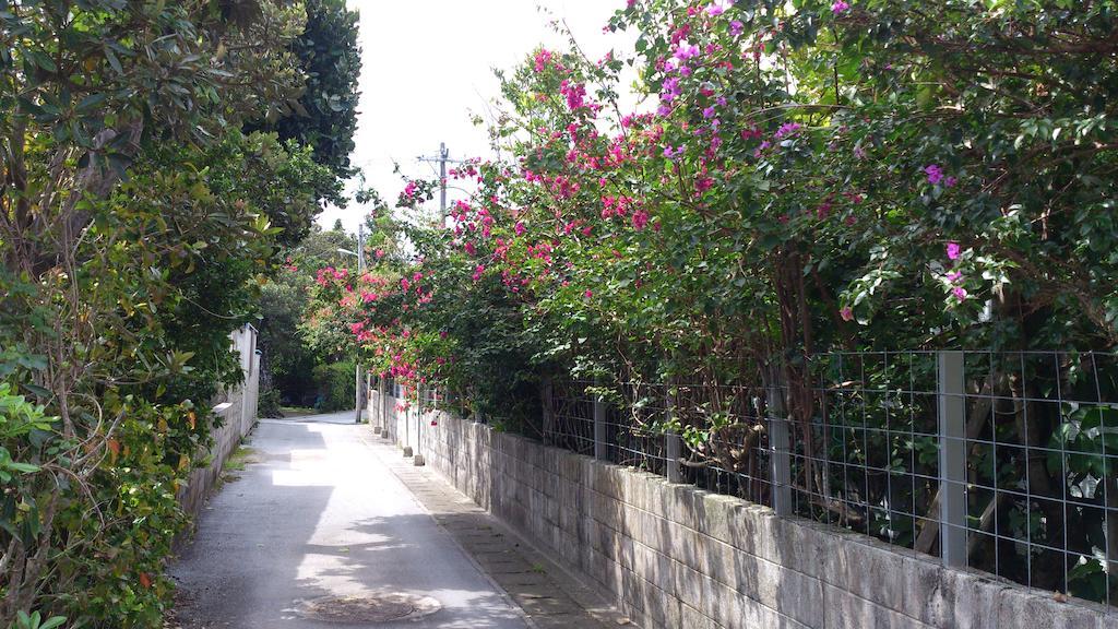 Patio House Reef Ξενοδοχείο Zamami Εξωτερικό φωτογραφία