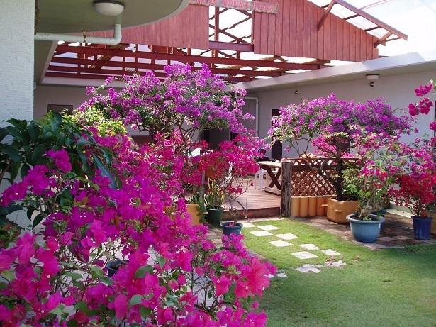 Patio House Reef Ξενοδοχείο Zamami Εξωτερικό φωτογραφία